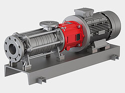 Speck side channel pumps