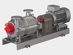 Speck liquid ring vacuum pumps